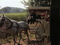 Kočár na hrázi rybníka