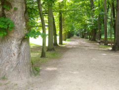 Zámecký park v Blatné