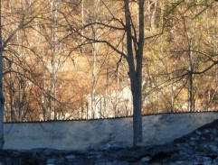 Legenda o létajícím Cypriánovi