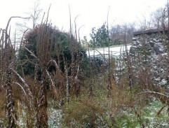 Legenda o létajícím Cypriánovi