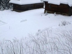 Legenda o létajícím Cypriánovi