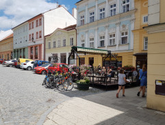 před hotelem Slavie