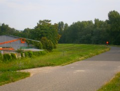 Šindelka na hrádzi