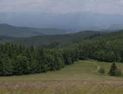 V noci na postriežke