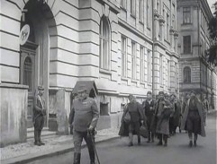 Hvězda zvaná Pelyněk