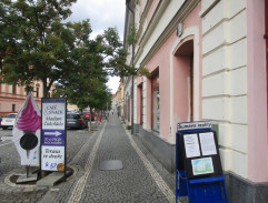 10. Případ kocoura Mikeše