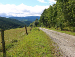 13. Vražedné esemesky