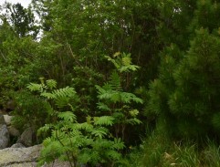 chata v Stratenej doline