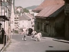 Ve městě plném deštníků