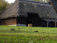 Bohdanka běží do stodoly