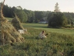 Bohdanka trhá květiny