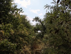 Anička jde do školy