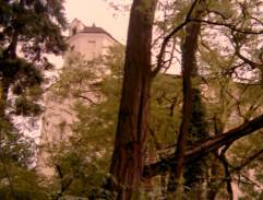 Zámek knížete Darjabáda