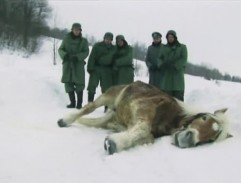 Rozhovor s nepřítelem