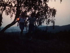 Slunce, seno, jahody