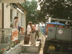 Slunce, seno, jahody