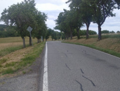 Železniční zastávka - Ohyb