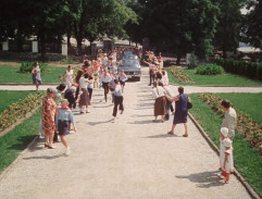 Slunce, seno, jahody