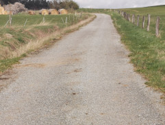 Slunce, seno, jahody