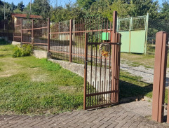 Slunce, seno, jahody