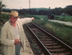 Slunce, seno, jahody