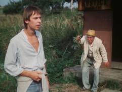 Slunce, seno, jahody