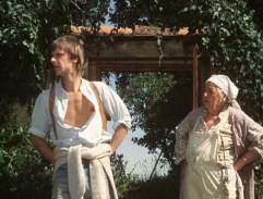 Slunce, seno, jahody