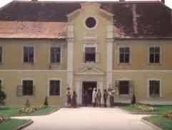 Slunce, seno, jahody