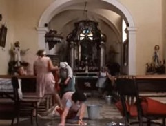 Slunce, seno, jahody