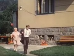 Slunce, seno, jahody