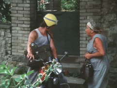 Slunce, seno, jahody