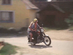 Slunce, seno, jahody