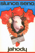 Slunce, seno, jahody Slunce, seno, jahody