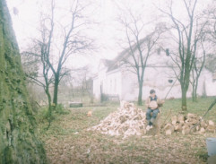 Dobří holubi se vracejí