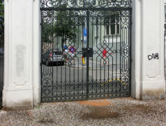 Park ze žabí perspektivy