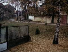 Slavnosti sněženek