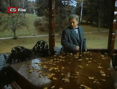 V hudebním pavilonu