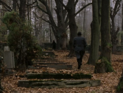 Sledování Félicie