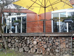 Sanatorium pro hubnoucí dámy 3