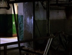 Pásla koně na betonu