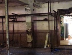 Pásla koně na betonu