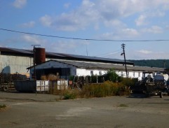 Pásla koně na betonu