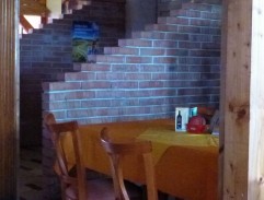 Pásla koně na betonu