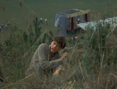 Pásla koně na betonu