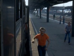 Pásla koně na betonu