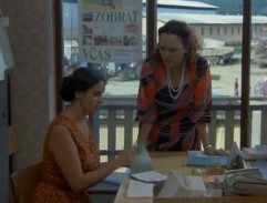 Pásla koně na betonu