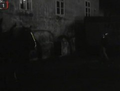 Nedobylovo zasielateľstvo