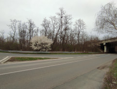 Automobilový závod Konopišťské kolo