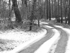 Vrah skrývá tvář