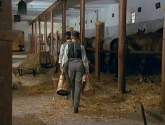 stajne na Praclikářke